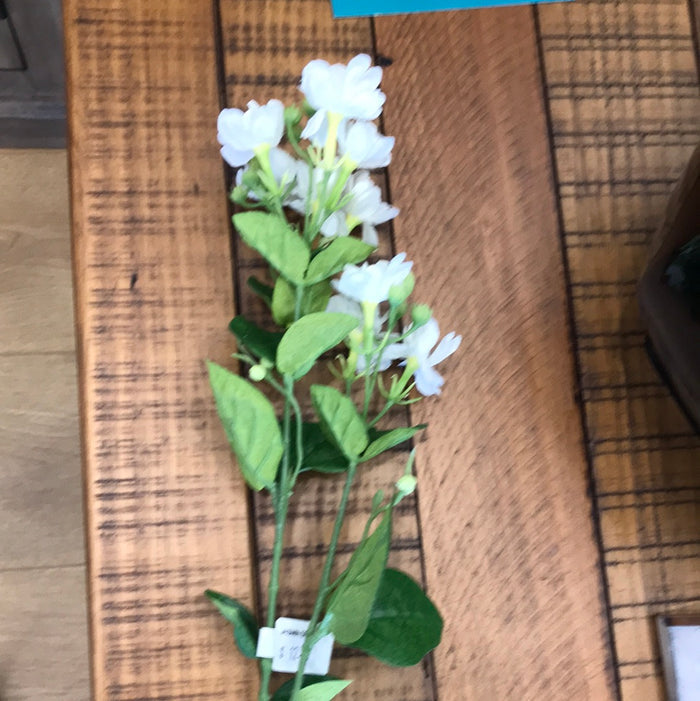 Jasmin spray white
