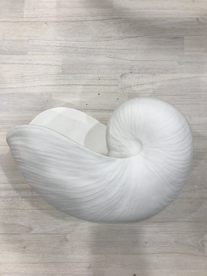 Nautilus Resin Shell 29x16.5x20.5cm Whit