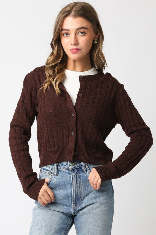 Cable Knit Cardigan Sweater