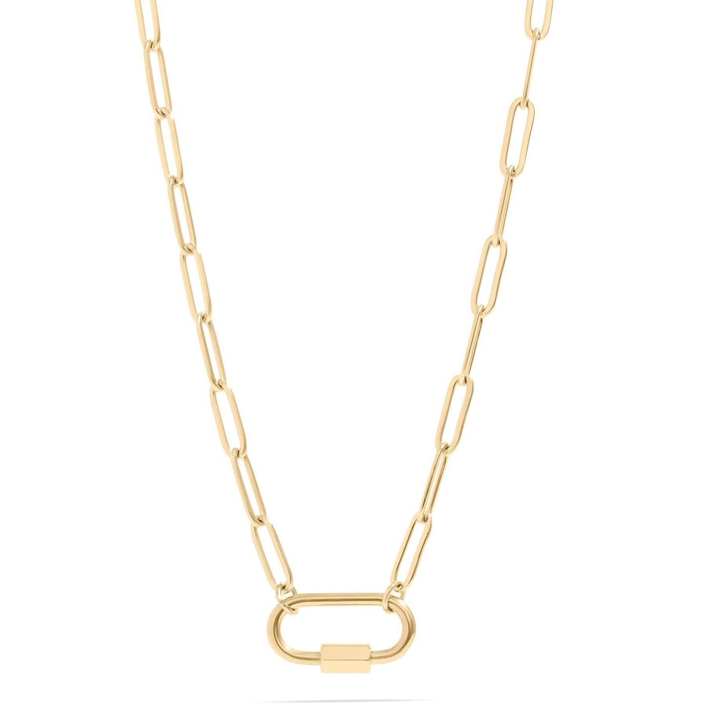 Paperclip Carabiner Necklace