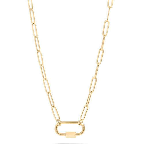 Paperclip Carabiner Necklace
