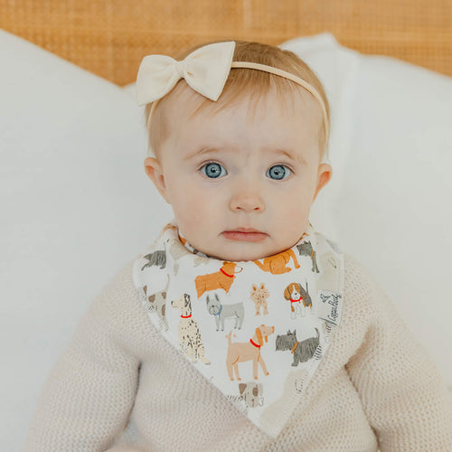 4 Pack Baby Bandana Bibs - Rufus