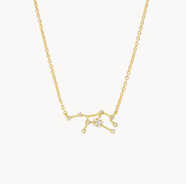Secret Box Zodiac Necklace