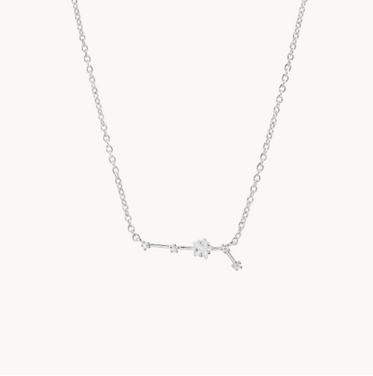 Secret Box Zodiac Necklace