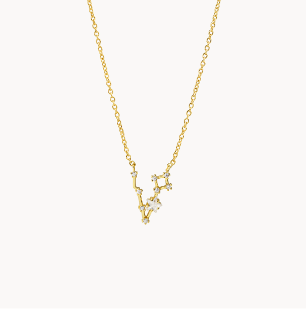 Secret Box Zodiac Necklace