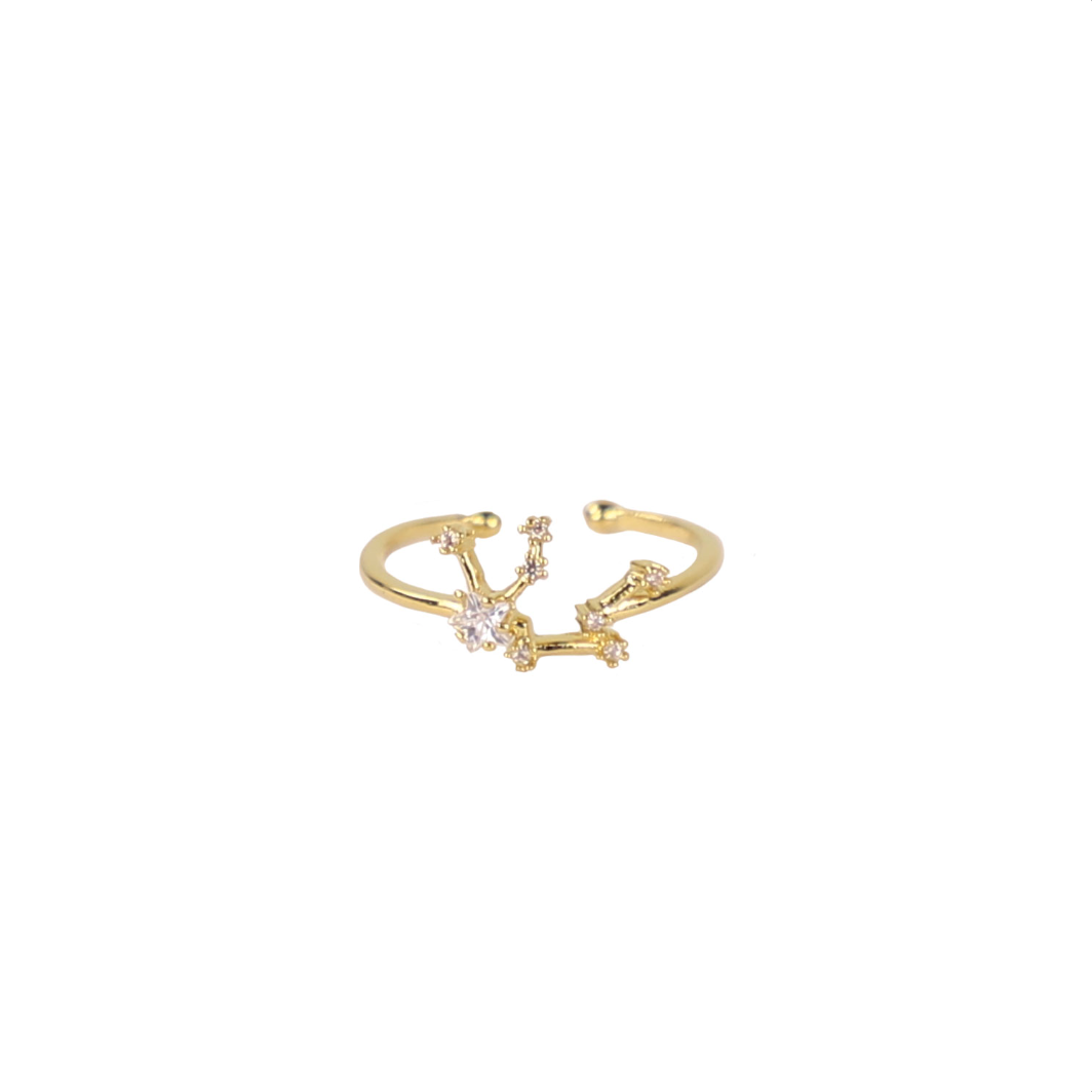 Secret Box Zodiac Ring