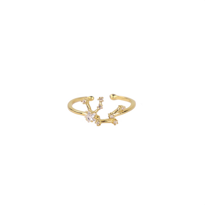 Secret Box Zodiac Ring