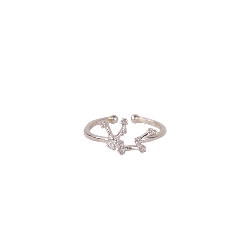 Secret Box Zodiac Ring