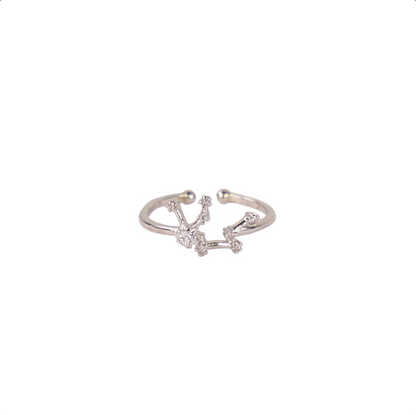 Secret Box Zodiac Ring