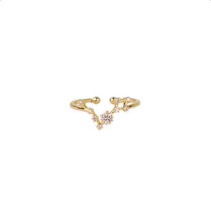 Secret Box Zodiac Ring