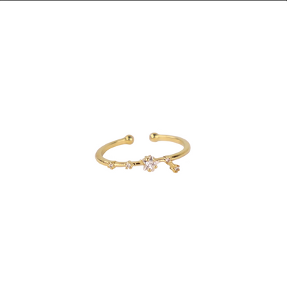Secret Box Zodiac Ring
