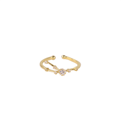 Secret Box Zodiac Ring