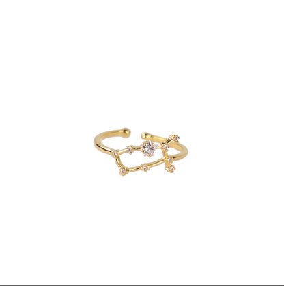 Secret Box Zodiac Ring