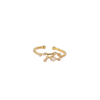 Secret Box Zodiac Ring