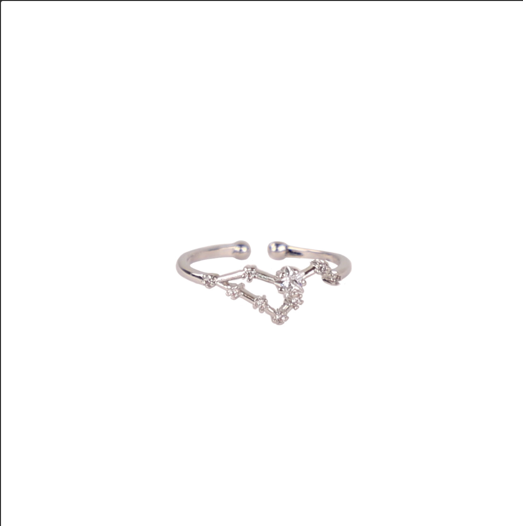Secret Box Zodiac Ring