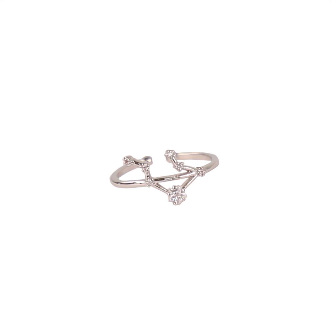 Secret Box Zodiac Ring