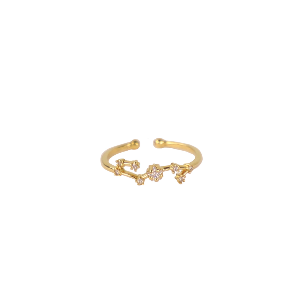 Secret Box Zodiac Ring