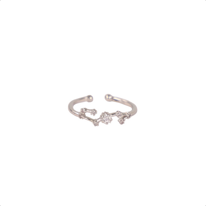 Secret Box Zodiac Ring