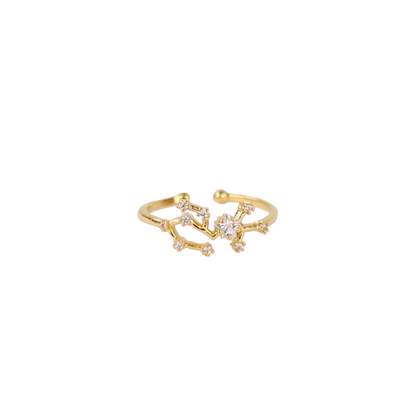 Secret Box Zodiac Ring