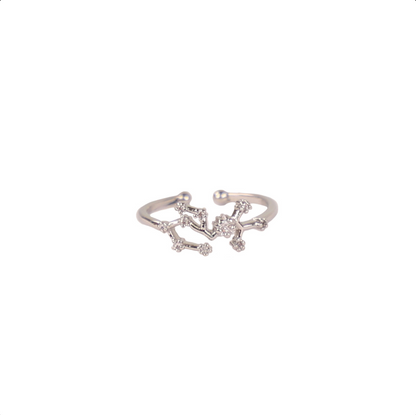 Secret Box Zodiac Ring