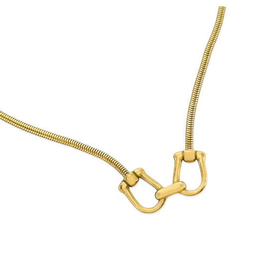 Double Horseshoe Chunky Chain Necklace