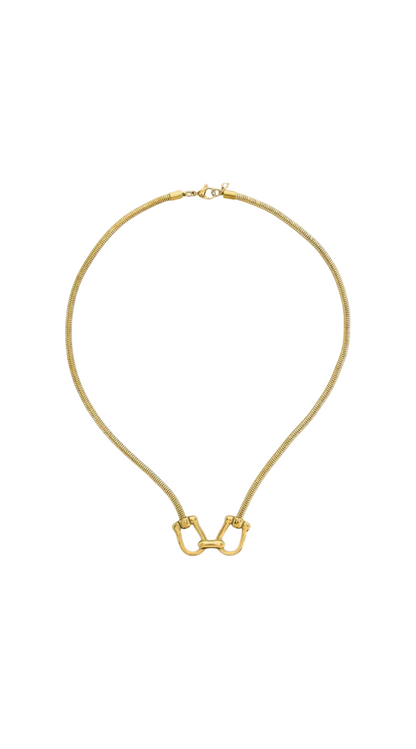Double Horseshoe Chunky Chain Necklace