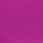 Hot Pink Swatch