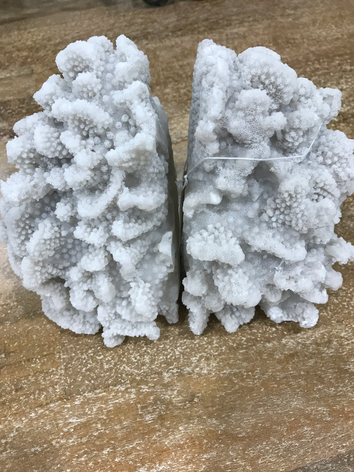 Coral Book Ends ( set of 2 )