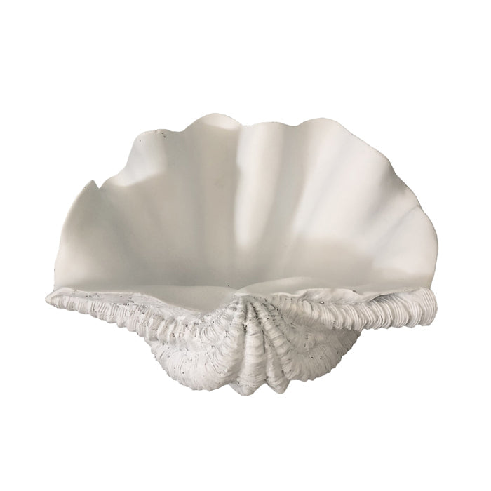 Galilao Resin White Clam