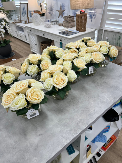 Rose in water bowl White