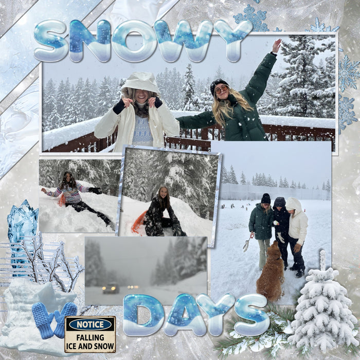 These realistic blizzard embellishments, icy papers, metal signs, and alpha sets by Lucky Girl Creative digital art will add a bit of authenticity to your winter digital scrapbooking pages. Perfect for blizzard, winter, snow, skiing, snowboarding, ice skating, and ice fishing as well as outdoor and nature pages! Embellishments include dog, St. Bernard, battery, cable, wench, car, auto, carabiner, cell tower, chimney, ice, coffee, evergreen bough, pine, fireplace, stove, first aid kit, flashlight, globe