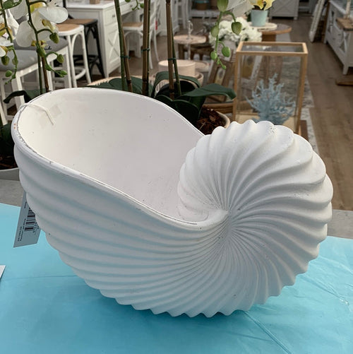 Nautilus Large