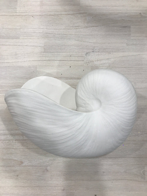 Nautilus Resin Shell 29x16.5x20.5cm Whit