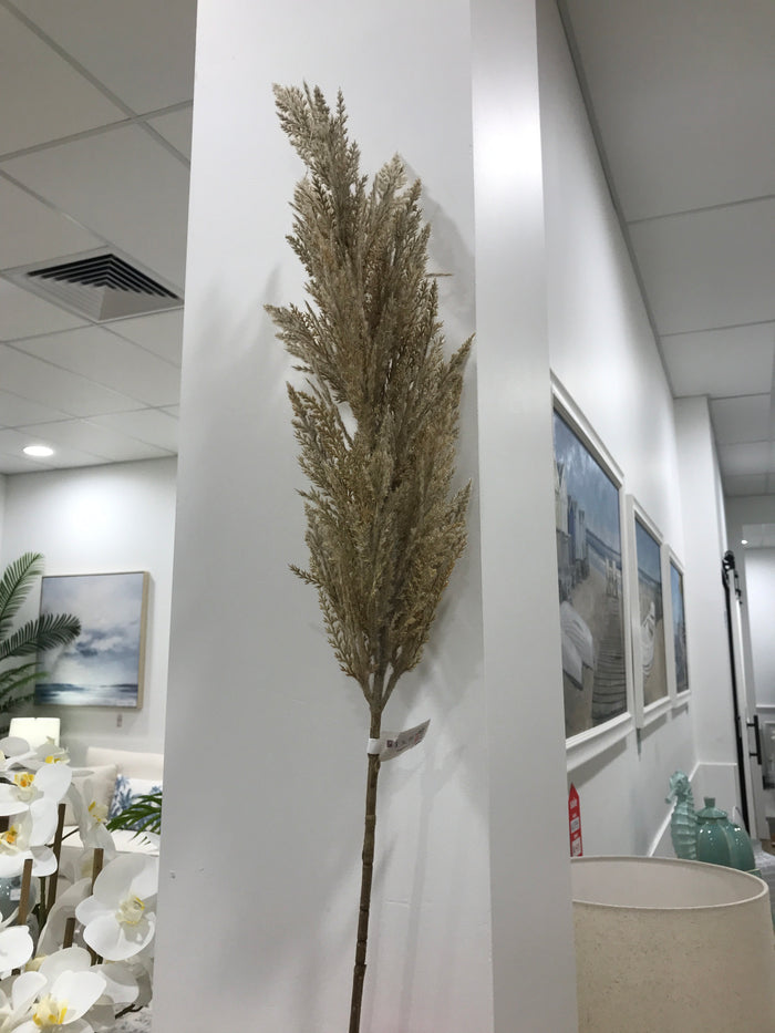 PampasGrass Spray
