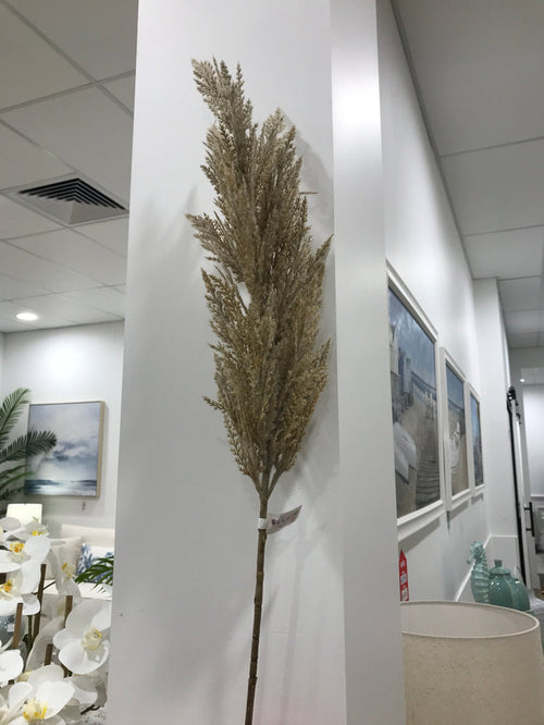 PampasGrass Spray