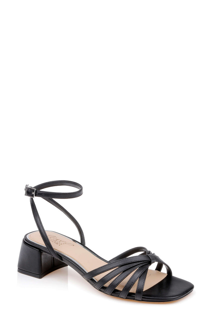 Black Leather / 5